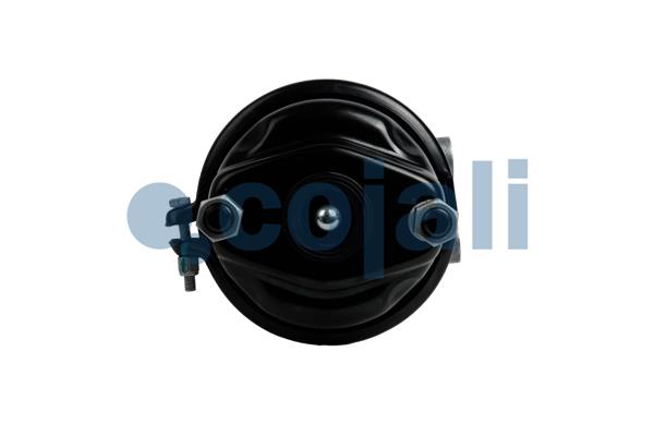 Cojali Veeraccumulator remcilinder 2251704