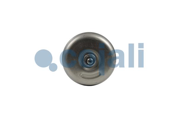 Cojali Veeraccumulator remcilinder 2251708