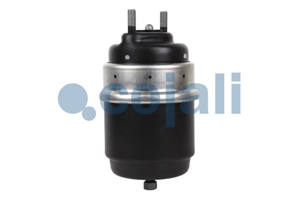 Cojali Veeraccumulator remcilinder 2251709