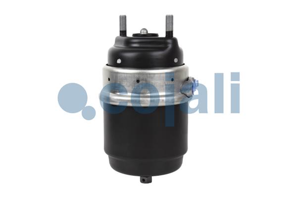 Cojali Veeraccumulator remcilinder 2251709