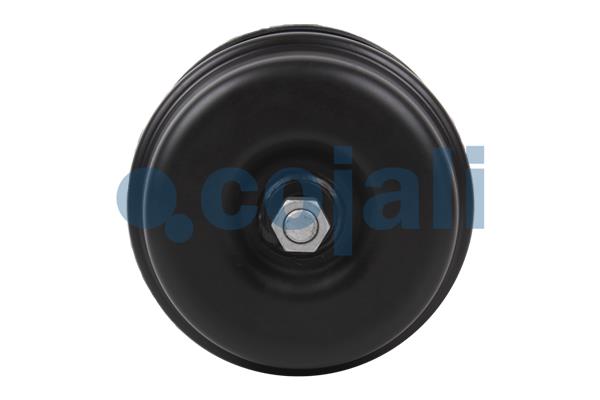 Cojali Veeraccumulator remcilinder 2251709