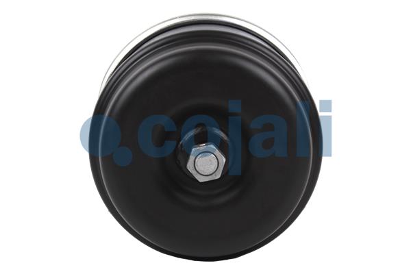 Cojali Veeraccumulator remcilinder 2251710