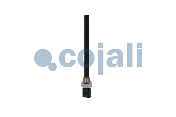 Cojali Motoroliepeil sensor 2260033