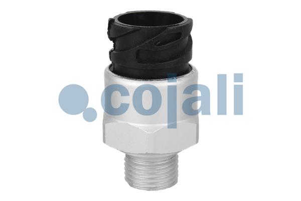 Cojali Inlaatdruk-/map sensor 2260093