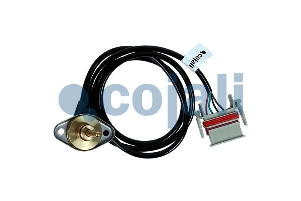 Cojali MAP sensor 2260250