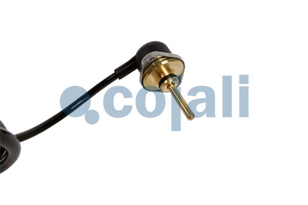 Cojali MAP sensor 2260250