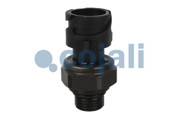 Cojali Sensor pneumatisch systeem 2260287