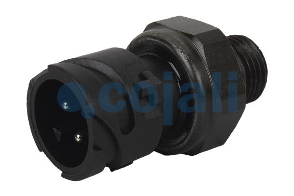 Cojali Sensor pneumatisch systeem 2260287