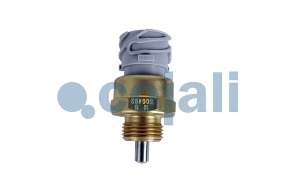 Cojali Controleschakelaar 2260356