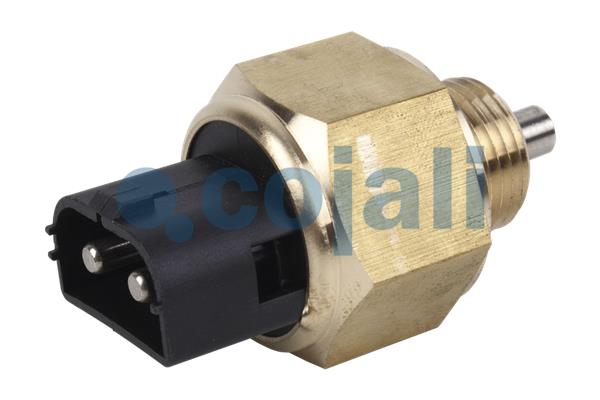 Cojali Controleschakelaar 2260360