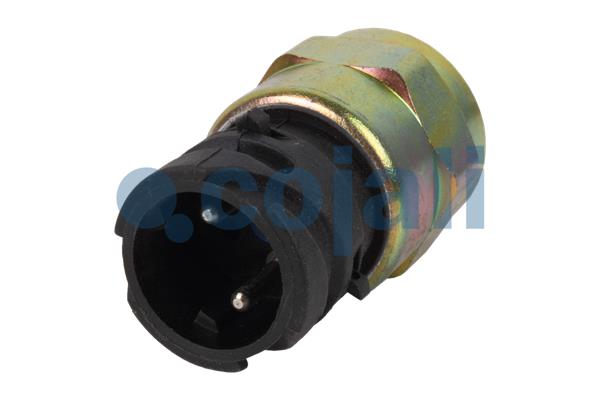 Cojali Inlaatdruk-/map sensor 2260417