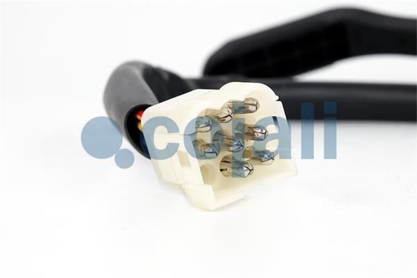 Cojali Knipperlichtschakelaar 2260610