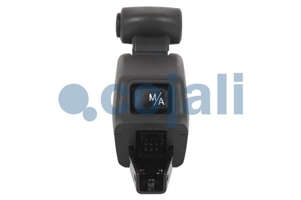 Cojali Pookknoppen  2260629