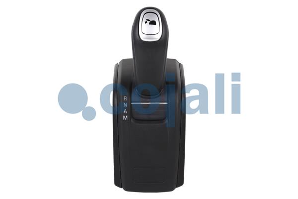 Cojali Pookknoppen  2260632