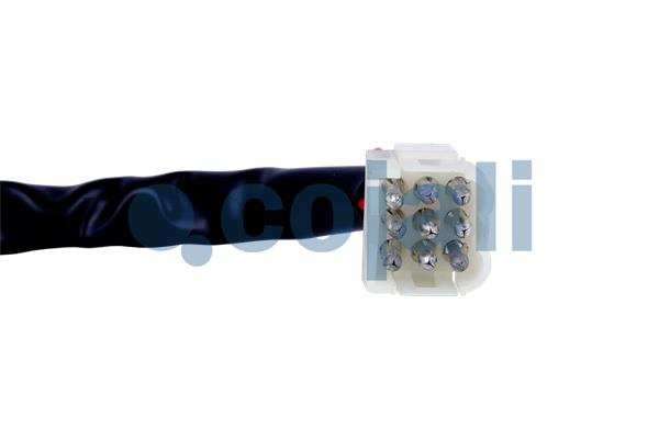 Cojali Knipperlichtschakelaar 2260644