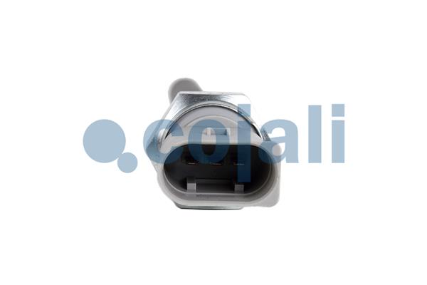 Cojali Motoroliepeil sensor 2260706