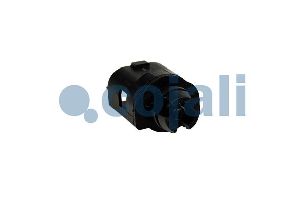 Cojali Buitentemperatuur sensor 2260850