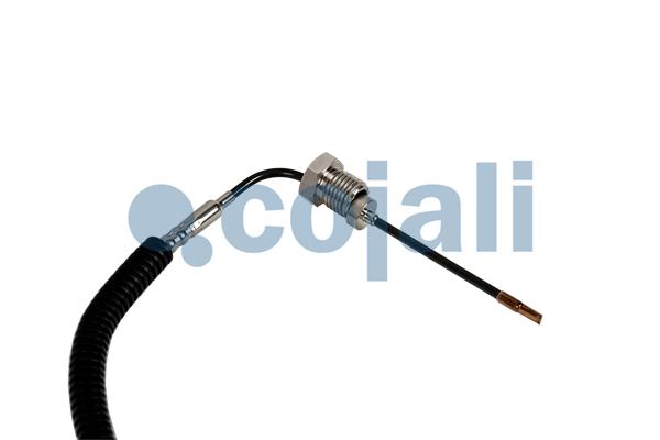 Cojali Sensor uitlaatgastemperatuur 2260883