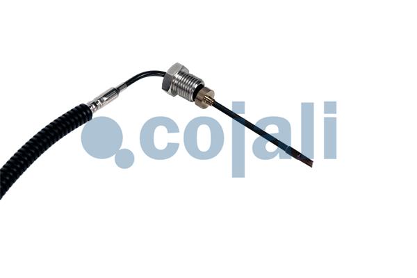 Cojali Sensor uitlaatgastemperatuur 2260884