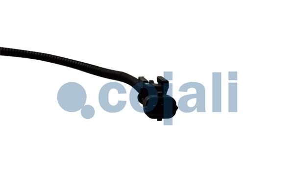 Cojali Sensor uitlaatgastemperatuur 2260892