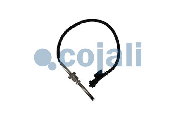 Cojali Sensor uitlaatgastemperatuur 2260903