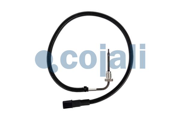 Cojali Sensor uitlaatgastemperatuur 2260904