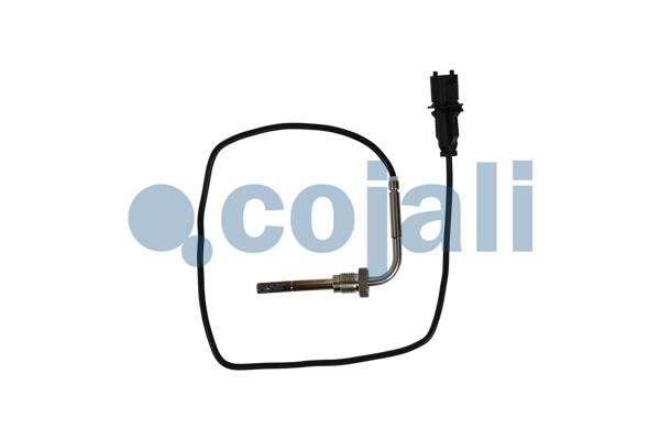 Cojali Sensor uitlaatgastemperatuur 2260906