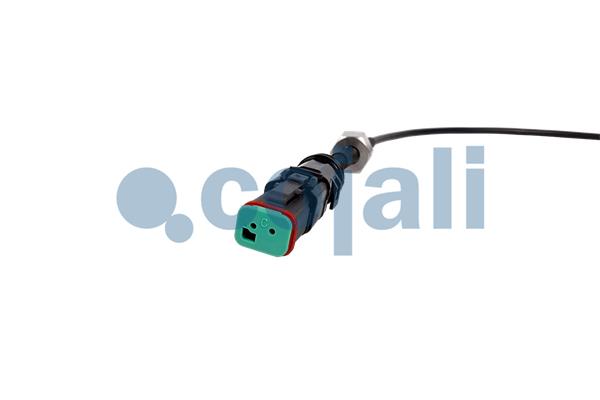 Cojali Sensor uitlaatgastemperatuur 2260907