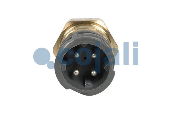 Cojali Oliedruksensor 2260929