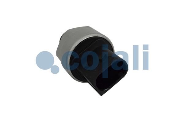 Cojali Sensor pneumatisch systeem 2260930