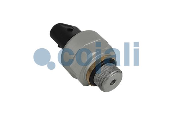 Cojali Sensor pneumatisch systeem 2260930