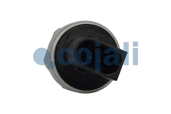 Cojali Sensor pneumatisch systeem 2260930