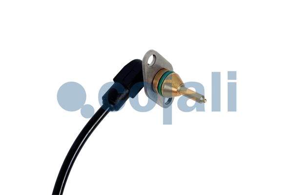 Cojali Temperatuursensor 2260940