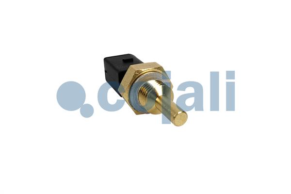 Cojali Brandstofdruk sensor 2260948