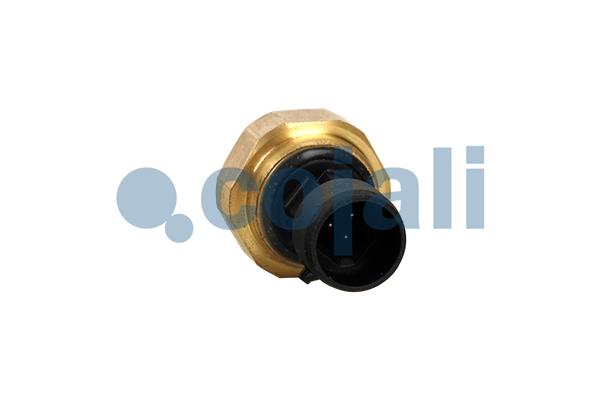 Cojali Inlaatdruk-/map sensor 2260951