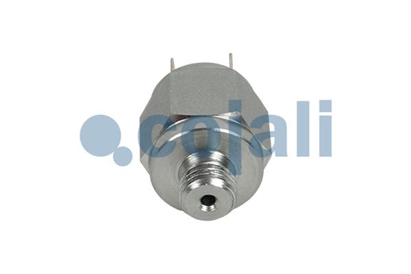 Cojali Inlaatdruk-/map sensor 2260956