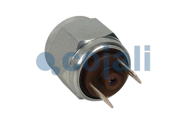 Cojali Inlaatdruk-/map sensor 2260957