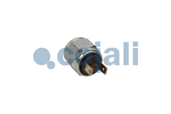 Cojali Inlaatdruk-/map sensor 2260959