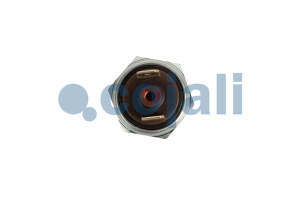 Cojali Inlaatdruk-/map sensor 2260960