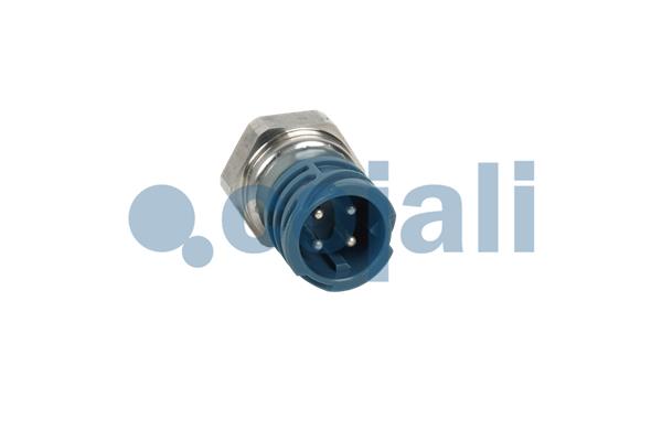 Cojali Brandstofdruk sensor 2260979