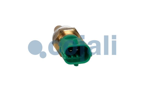 Cojali Temperatuursensor 2260984