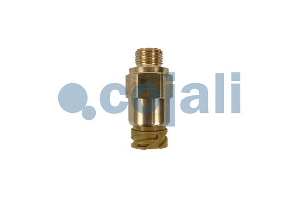 Cojali Brandstofdruk sensor 2260987