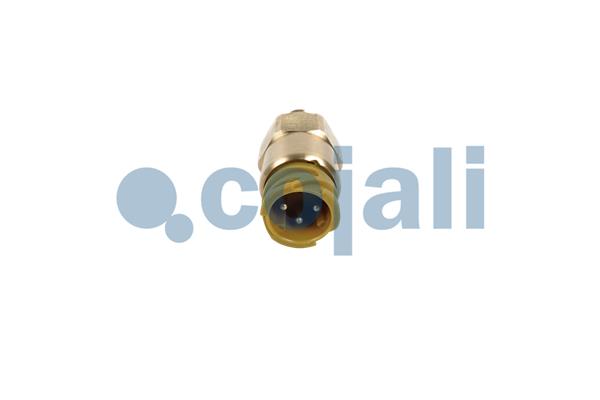 Cojali Brandstofdruk sensor 2260987