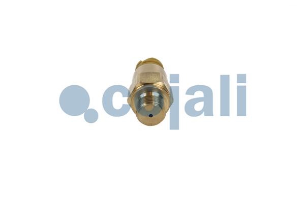 Cojali Brandstofdruk sensor 2260987