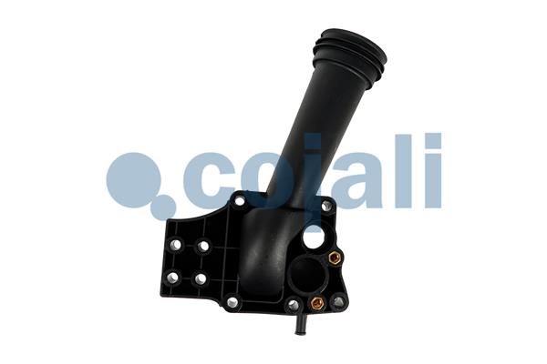 Cojali Thermostaat 2261242