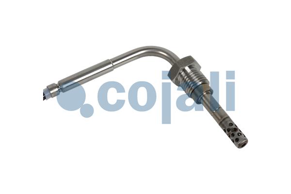 Cojali Sensor uitlaatgastemperatuur 2262004