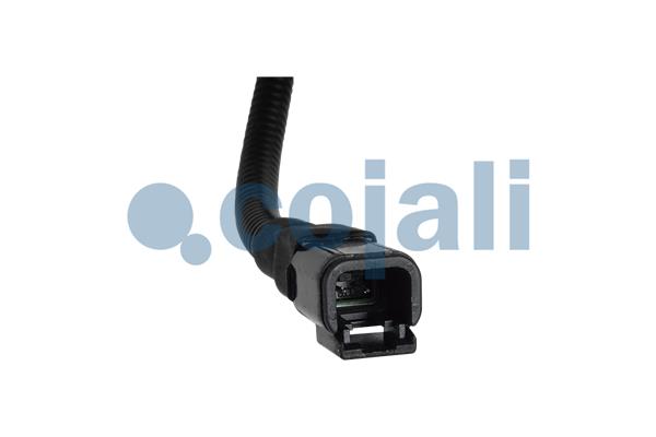 Cojali Sensor uitlaatgastemperatuur 2262005