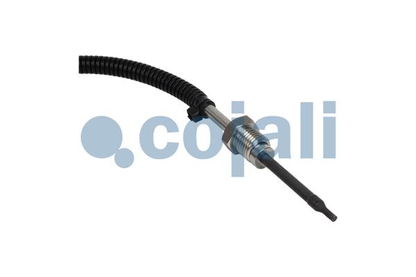 Cojali Sensor uitlaatgastemperatuur 2262005