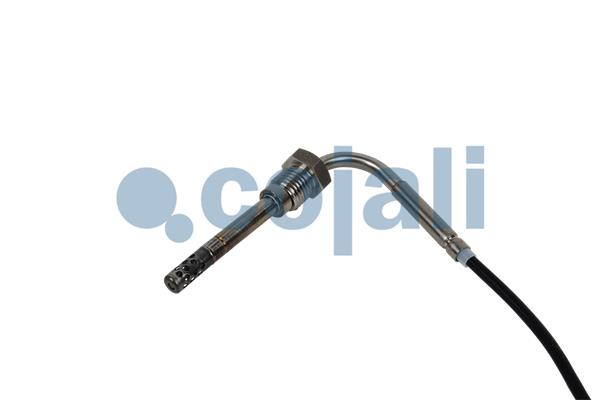 Cojali Sensor uitlaatgastemperatuur 2262020