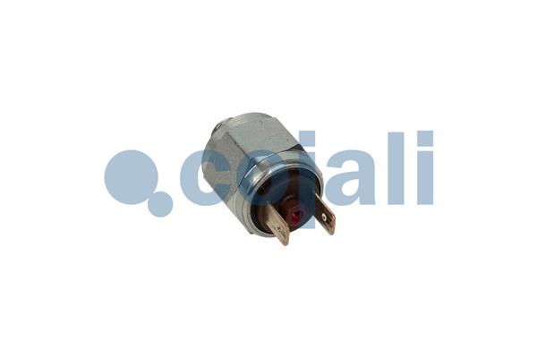 Cojali Inlaatdruk-/map sensor 2262042